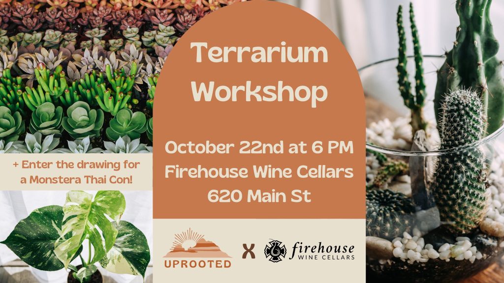 Terrarium Workshop at Firehouse Wine Cellars with UPROOTED